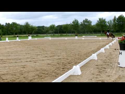 Fidertanz x Alabaster Stute "Fidelia" Dressur Kl. M* 2. Platz