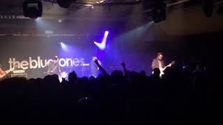 The Bluetones - Bluetonic - Exeter Lemon Grove 04-05-18