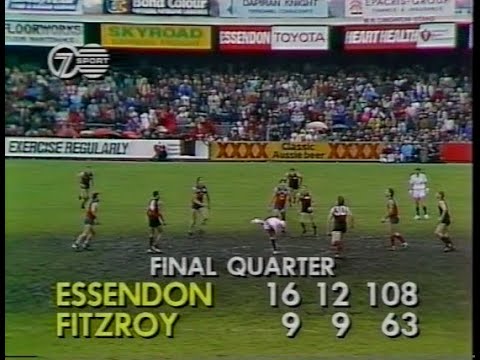 Essendon Highlights - Rd 10 1989 v Fitzroy