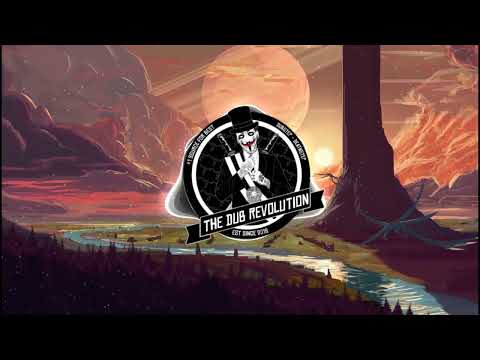 FOCUSS X FELMAX - RUN THIS