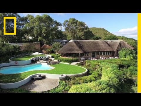 Stay in Luxury Amongst South Africa's Unique Floral Kingdom | National Geographic