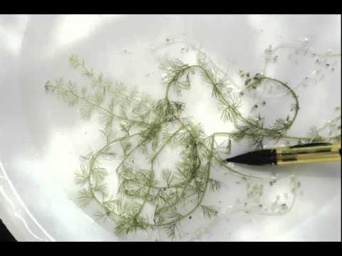 download lagu mp3 mp4 H120i, download mp3 H120i free downloadn, video klip H120i