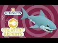 Octonauts Creature Report Great White Shark Sea Education For Kids