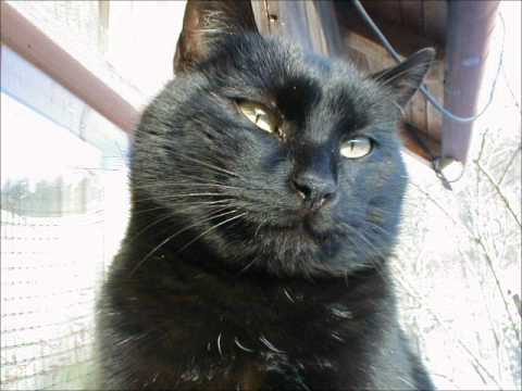 DEŽO @ Jaromír Nohavica ???? 67