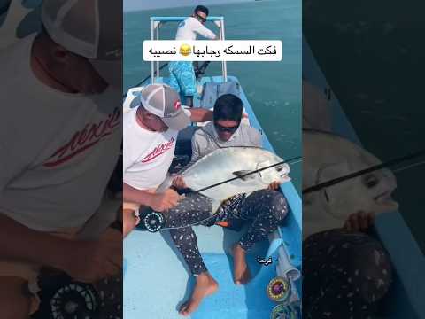 ضاعت منو وى جبها 😂😂😂