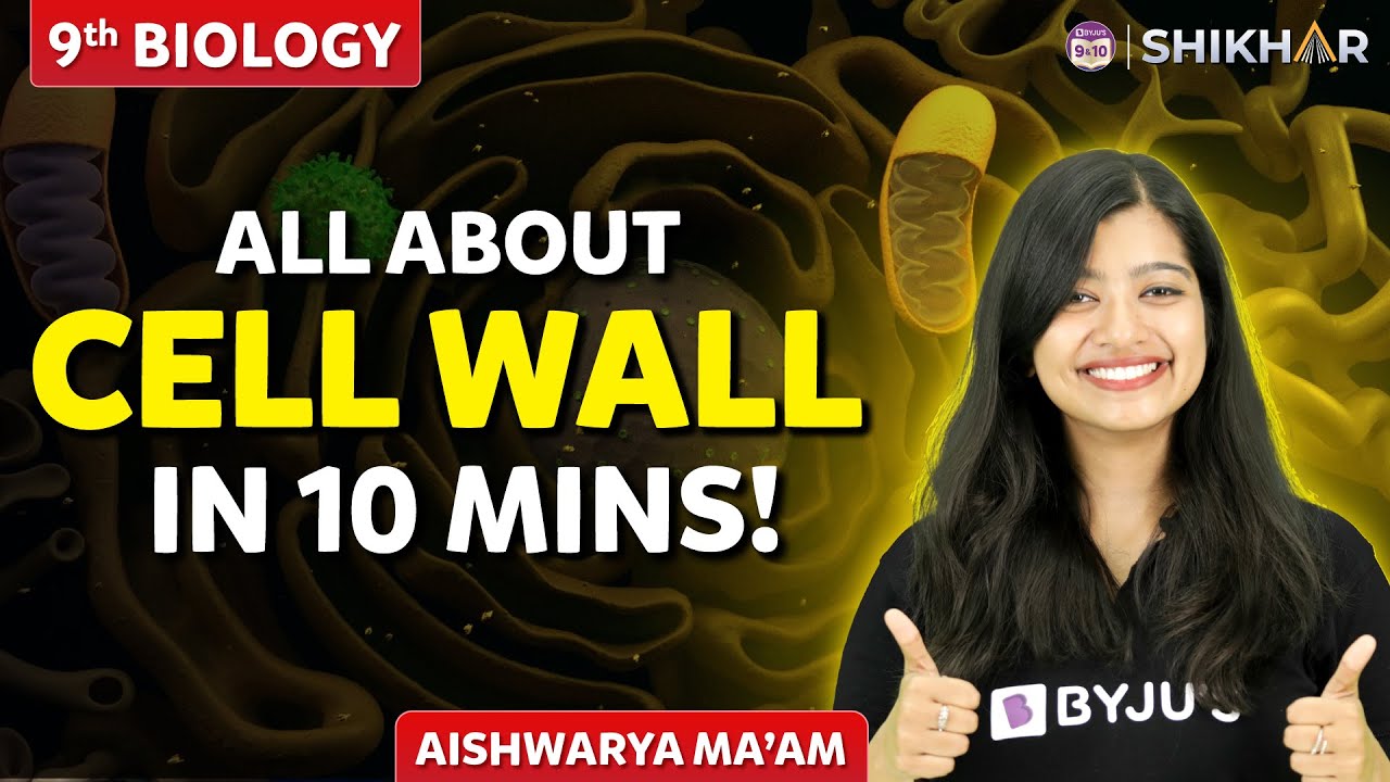 Structure and Function of Cell Wall | Class 9 | Fundamental Unit of Life | SHIKHAR 2023