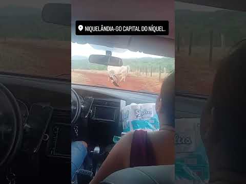 viagem pra niquelandia  Goiás  vendo os gados kkkkk