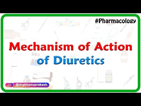 2.Mechanism of Action of Diuretics - Renal Pharmacology
