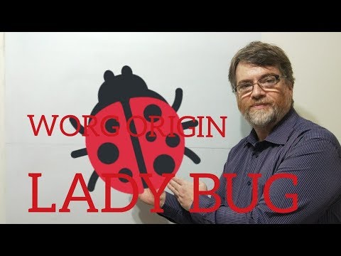 English Tutor Nick P Word Origins (27) Ladybug