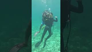 Travel Shorts - Bohol Philippines Scuba Diving at Doljo House Reef with Scotty's Action Sports