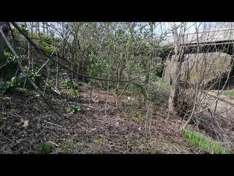 TREN  BOTOSANI-SUCEAVA OEA 15:50