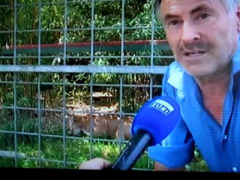 Raubtierpark Subingen