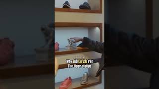 Why Did Lil Uzi Pet The Tiger Statue #shorts