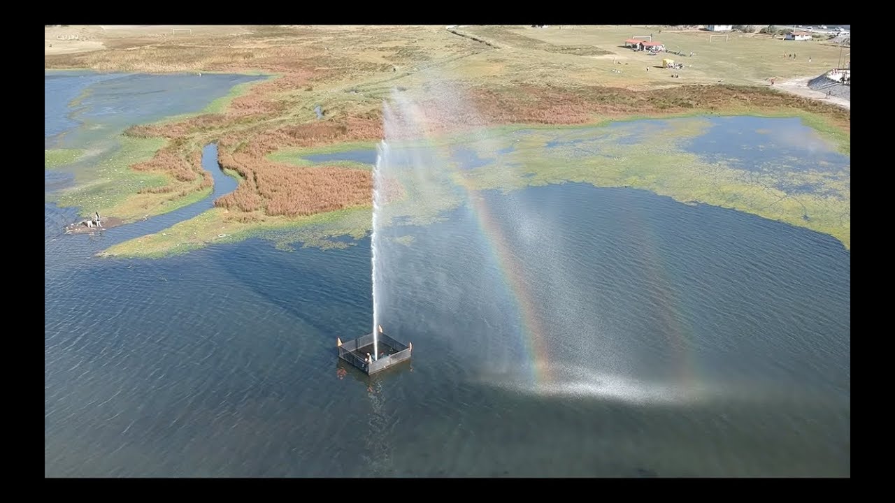 Un dia muy movido|||||| ツ 🚗