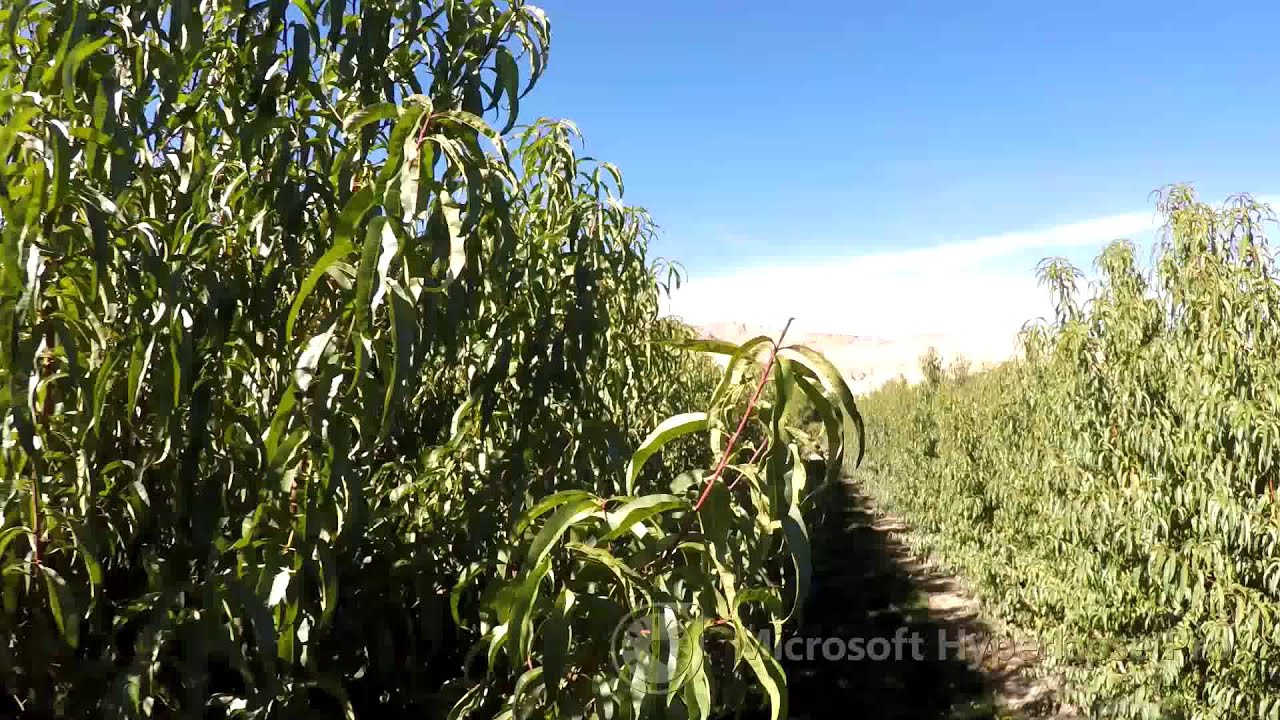 Video: GOPR4533 hyperlapse 2x std
