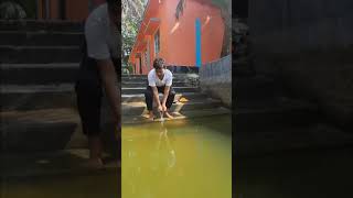 Download lagu how to gosol in winter😂 mp3