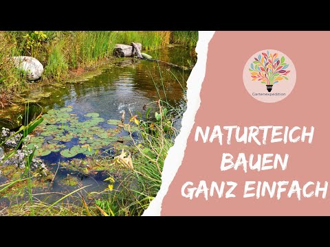 Naturteich mit Bachlauf bauen: Anleitung für dein Biotop