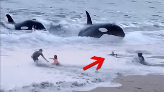 If These Moments With Animal Were Not Filmed, No One Would Have Believed Them
