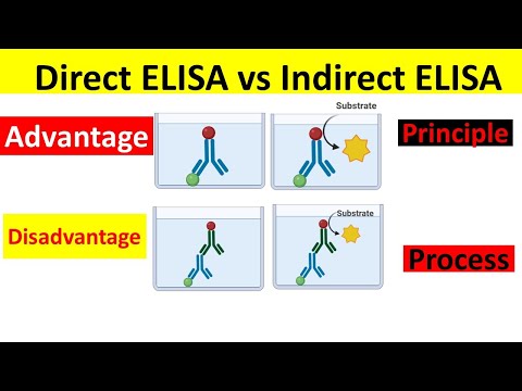 Direct ELISA vs Indirect ELISA | Principle, Process, Advantages & Disadvantages |