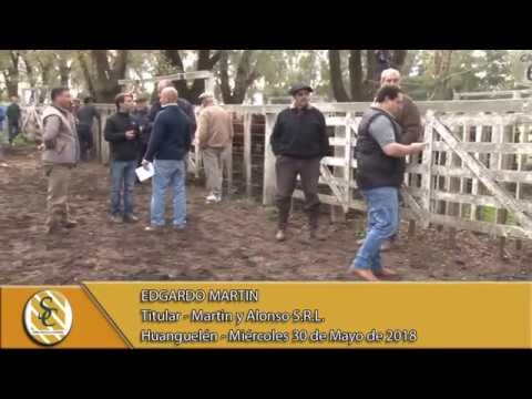 30-05-18 Nota Edgardo Martin - Titular - Martin y Alonso S.R.L. - Huanguelén