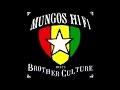 Mungo's Hi Fi - Wickedness ft Brother Culture