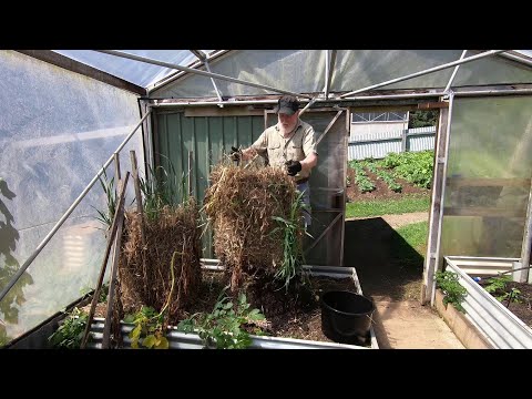 Potato Towers - The Moment of TRUTH!