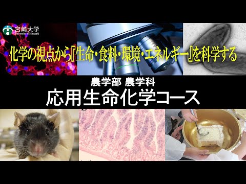 【化学の視点から『生命・食料・環境・エネルギー』を科学する】宮崎大学農学部｜農学科・応用生命化学コース