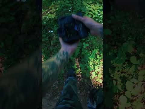 Some 100mm Nature Vibes