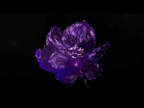 Kaivon x Wisner - Misery (Official Visualizer)