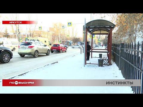 Вандалы громят остановки общественного транспорта в Иркутске