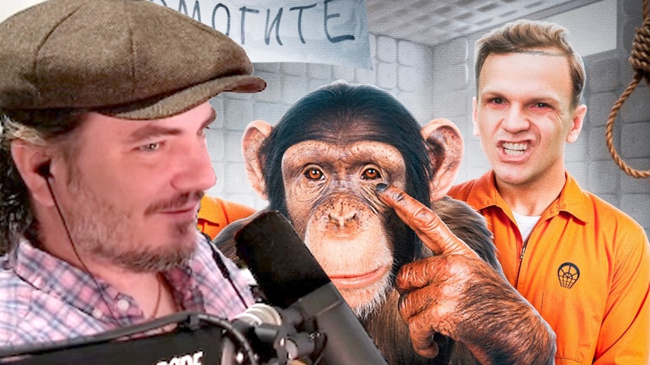 Мэддисон смотрит сошли с ума и потеряли всё / блогерская шиза ЛАРИН