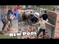 Animals Ko New Pool Mein Nehla Dea