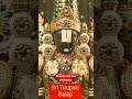 Sri Tirupati Balaji Status Shorts Whatsappstatus Tirupati