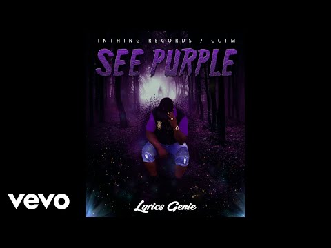 Lyrics Genie - See Purple (Audio Video)