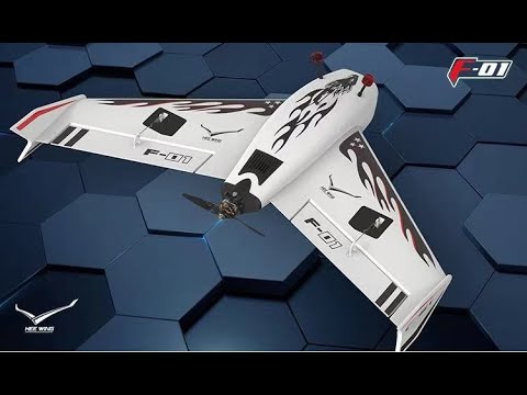 HEE Wing F-01 delta wing airplane, 690mm wingspan, Tailored for DJI digital air unit