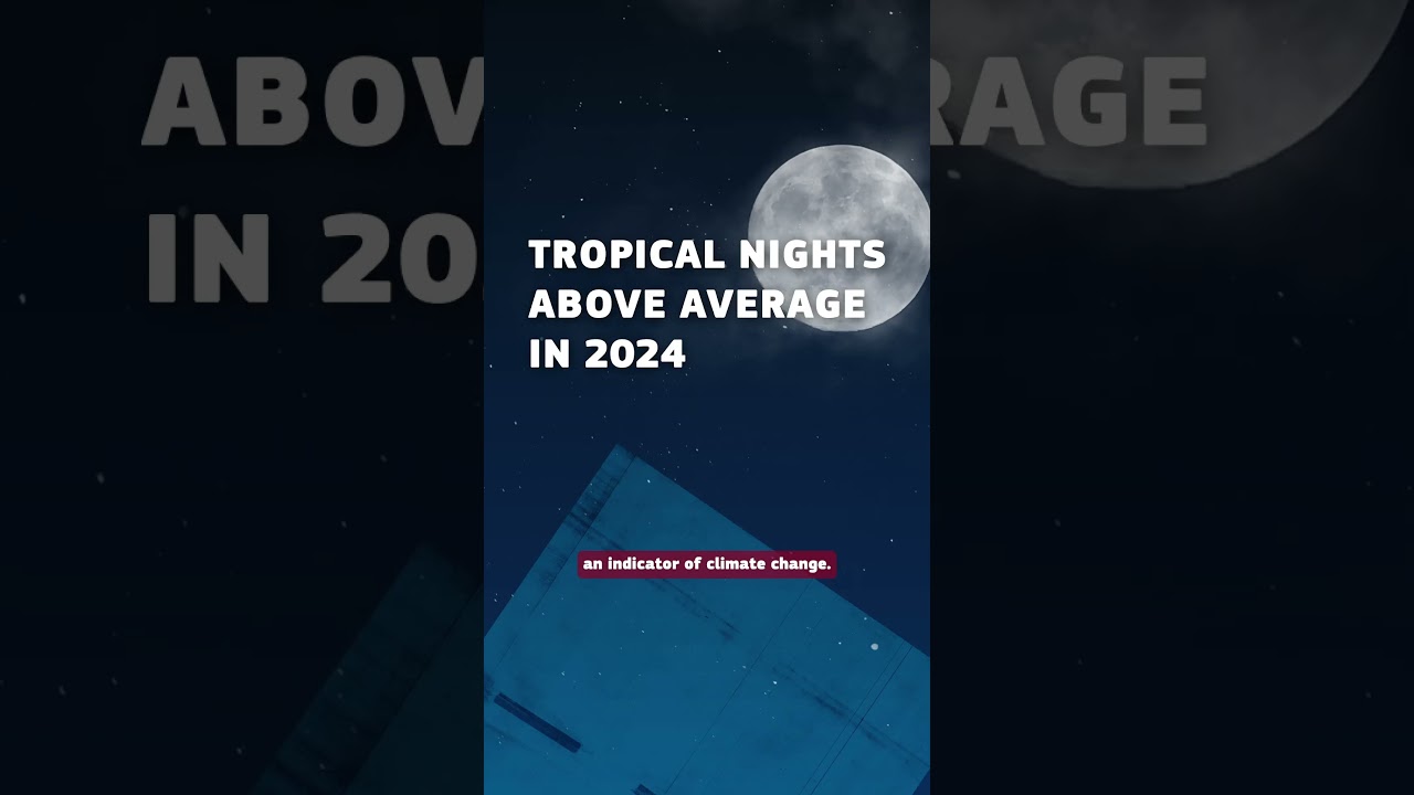 Data Speaks - What is a Tropical Night?