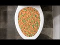 Will It Flush Apple Jacks Cereal