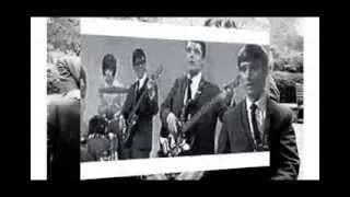 The Honeycombs - I Fell In Love   (HQ)