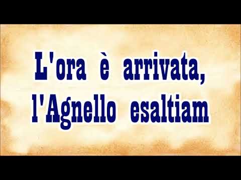 Alleluia al nostro Re