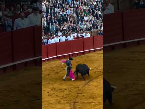 Pedro Almodóvar analiza los looks más importantes de sus películas | Mi vida en looks | VOGUE España