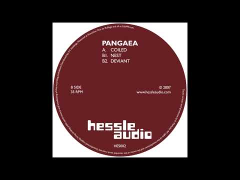 Pangaea - Nest