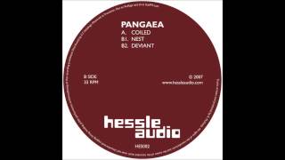 Pangaea - Nest