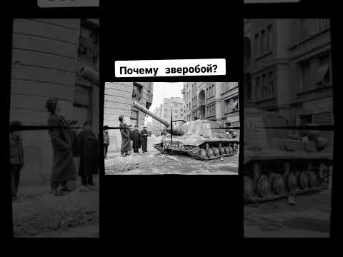 Почему Ису-152 назвали зверобой? #shots