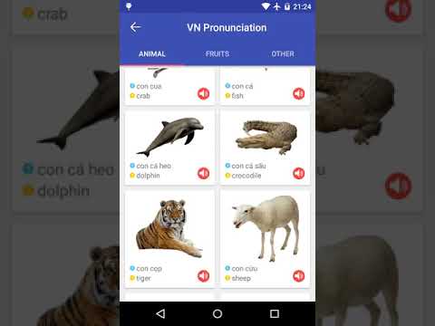 Learn Vietnamese Pronunciation Video