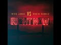 Nick Jonas Vs Robin Schulz Right Now PAL High Tone