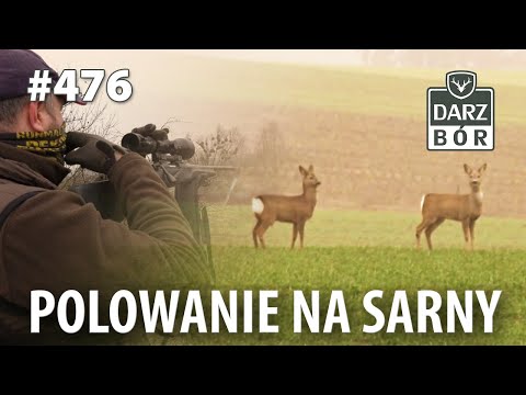 Darz Bór odc. 476 Polowanie na sarny.