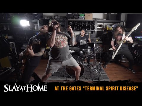 image-What MSP terminal is spirit?