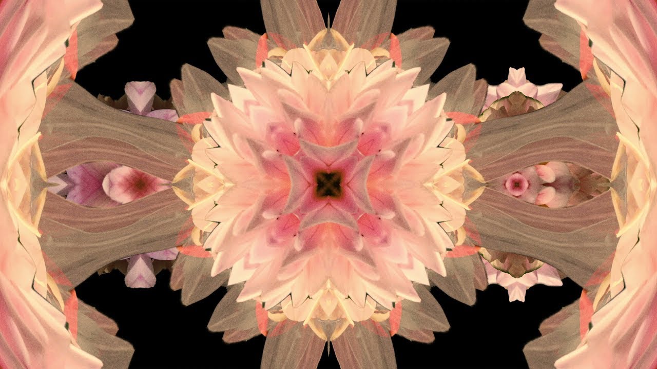 Etherwood 'Neon Dust' Film