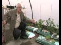 Victoria House Community Garden June 2009