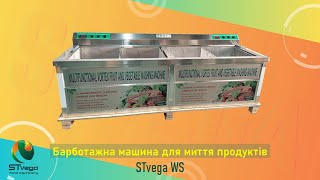 Купить мойку для овощей Барботажна мийка для зелені, листя салату, ягід, овочів і фрукті - Изображение 4 | Machineryline UA Новая мойка для овощей Барботажна мийка для зелені, листя салату, ягід, овочів і фрукті | Изображение 4 - Machineryline